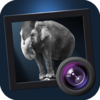 JixiPix Software - Dramatic Black & White Grafik
