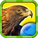 My Birds of Prey